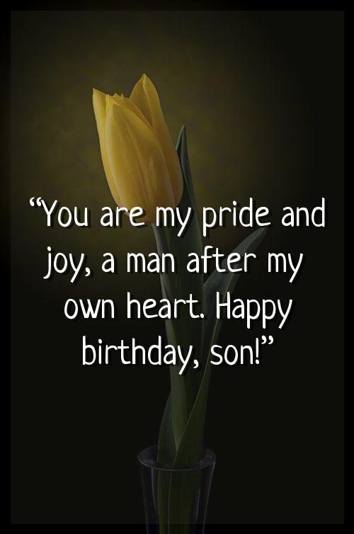 funny birthday wishes for son in law